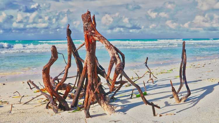 Varadero